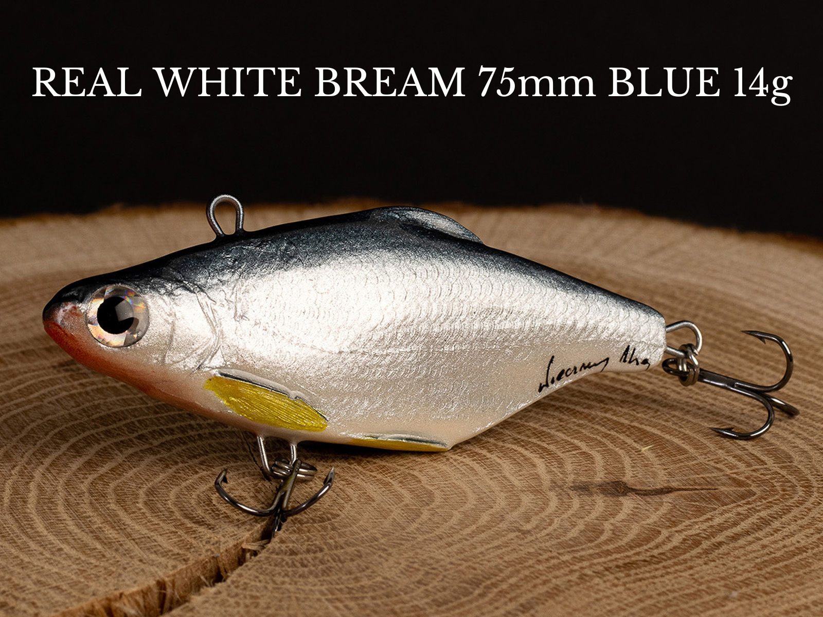 REAL FISH BOX