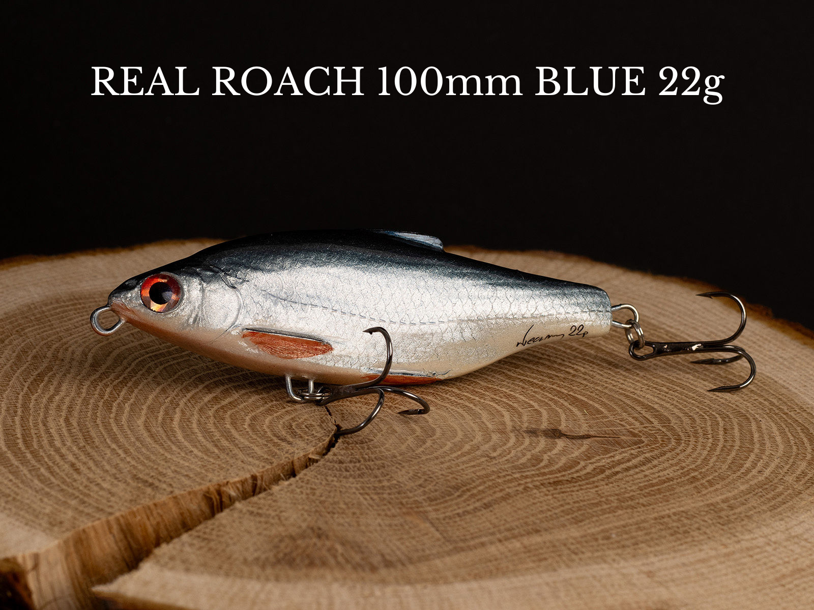 REAL FISH BOX