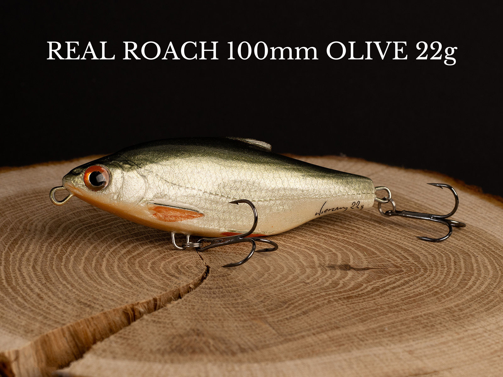 REAL FISH BOX