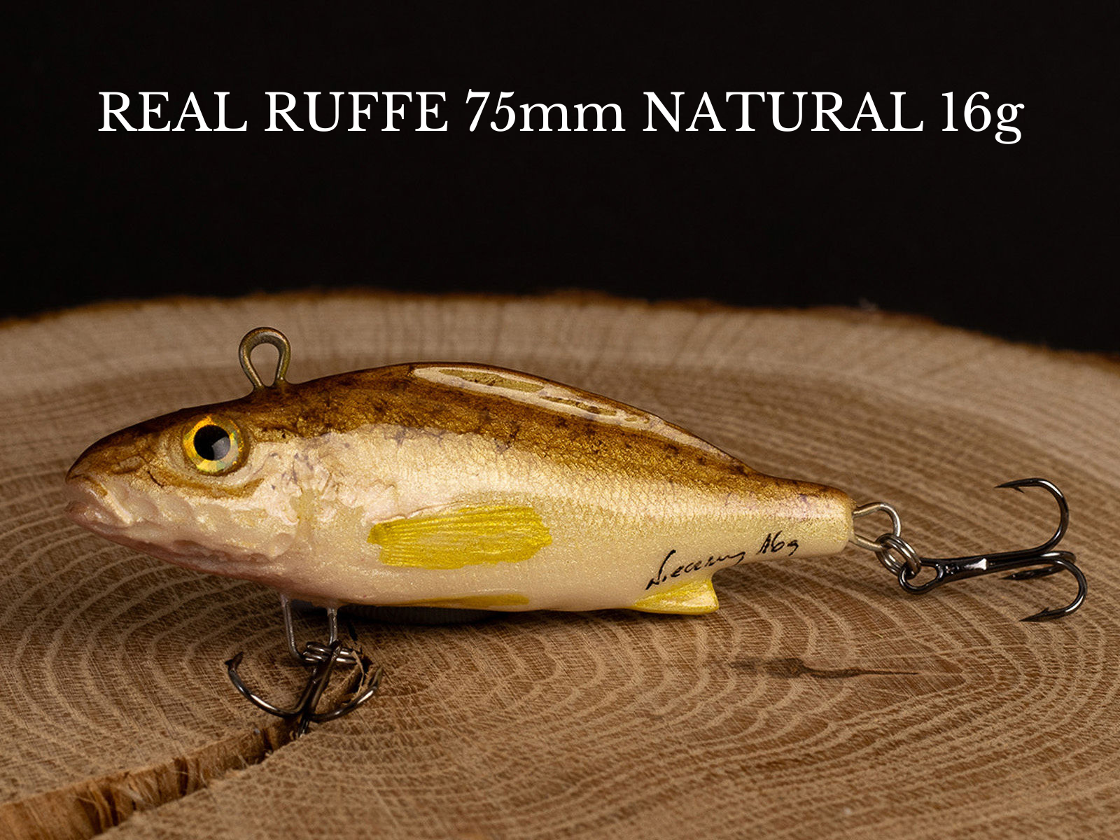 REAL FISH BOX